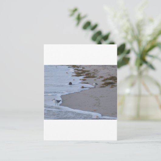 フロリダ ポストカード (スタンド正面)