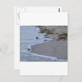 フロリダ ポストカード (正面/裏面)