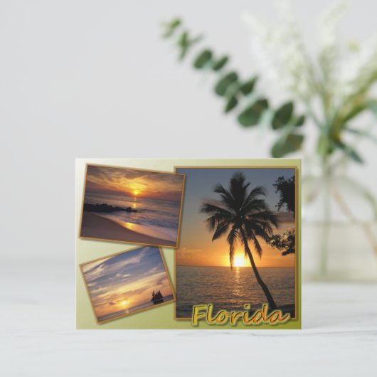 フロリダ ポストカード (スタンド正面)