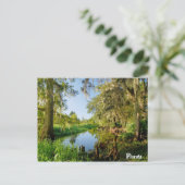 フロリダ ポストカード (スタンド正面)