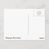 フロリダ ポストカード (裏面)