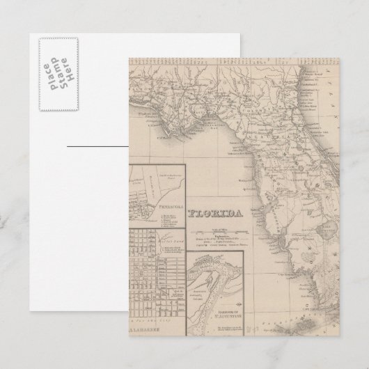 フロリダ ポストカード (正面/裏面)
