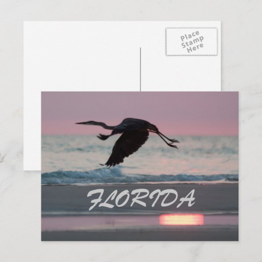 フロリダ ポストカード (正面/裏面)