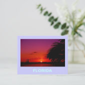 フロリダ ポストカード (スタンド正面)