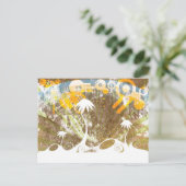 フロリダ ポストカード (スタンド正面)