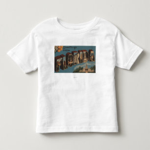 フロリダ(重要な建物) -大きい手紙 トドラーTシャツ