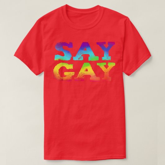 フロリダLGBTサポートプライドセーゲイ  Tシャツ (デザイン正面)