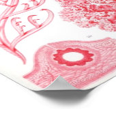 フロリデエ ポスター (角)