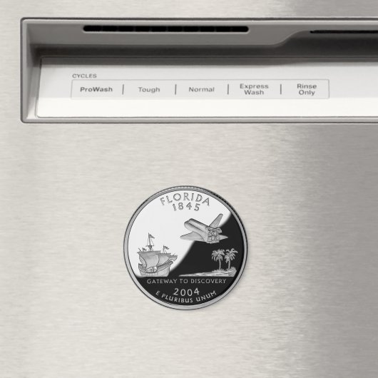 フロリフェイクダ州四半期 マグネット (インサイチュ (食洗機))