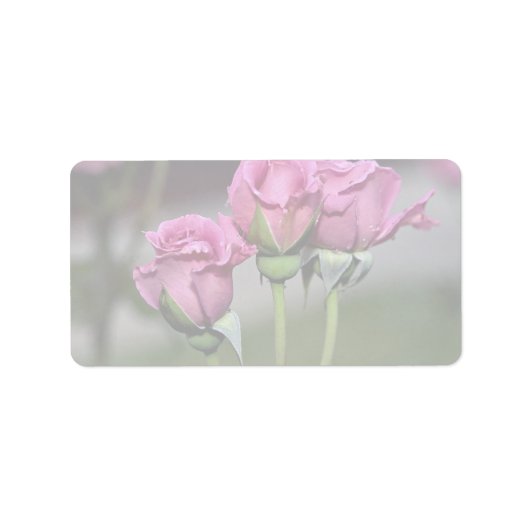 フロリブンダエンジェル顔バラ ラベル (正面)