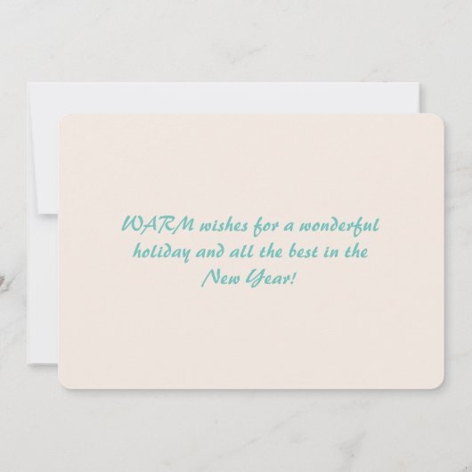 フロリメリーダクリスマスサニベルアイランドビーチサンタ シーズンカード (裏面)