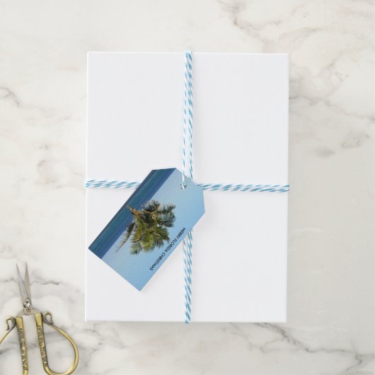 フロリメリーダクリスマス ギフトタグ (より糸付き)