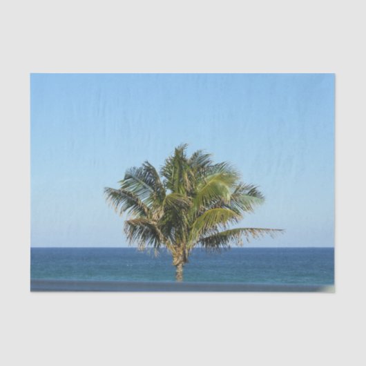 フロリメリーダ休日 薄葉紙 (正面)