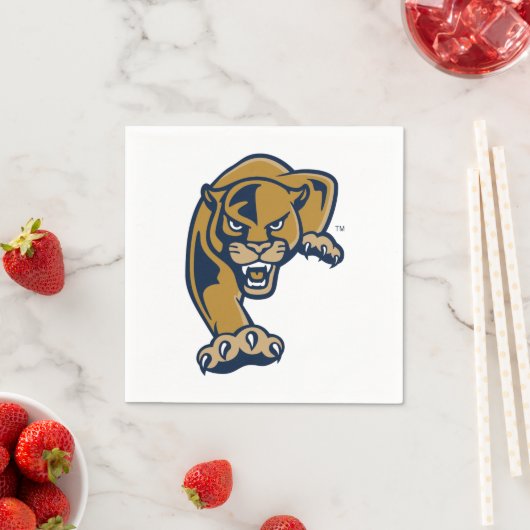 フロリ国際的ダ大学 スタンダードカクテルナプキン (インサイチュ)