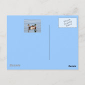 フロリ実在ダの葉書 ポストカード (裏面)