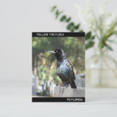 フロリ後を追ダの群れ ポストカード (スタンド正面)