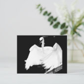 フロリ救ダーの鳥 ポストカード (スタンド正面)