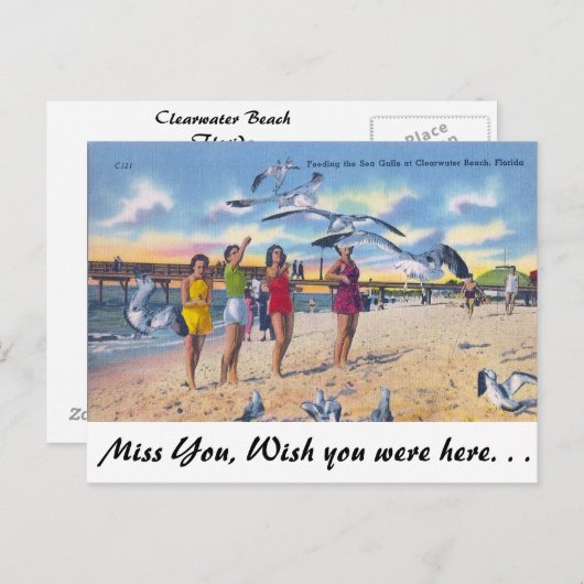 フロリ食べ物を与えダ州クリアウォータービーチのカモメ ポストカード (正面/裏面)