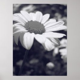 フロル ポスター