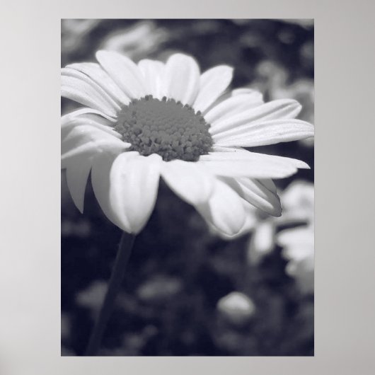 フロル ポスター (正面)