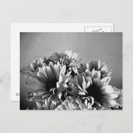 フロレアル 黒と白のポストカード ポストカード (正面/裏面)