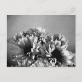 フロレアル 黒と白のポストカード ポストカード (正面)