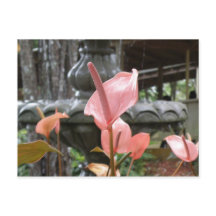 フロレスアンチュリオ