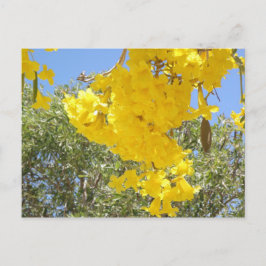 フロレスデプエルトリコ ポストカード