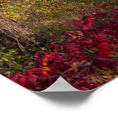 フロントテナック州公園から湖のピーピンを見下ろす ポスター (角)