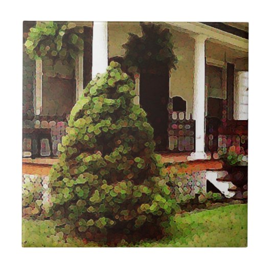 フロントポーチ タイル (正面)