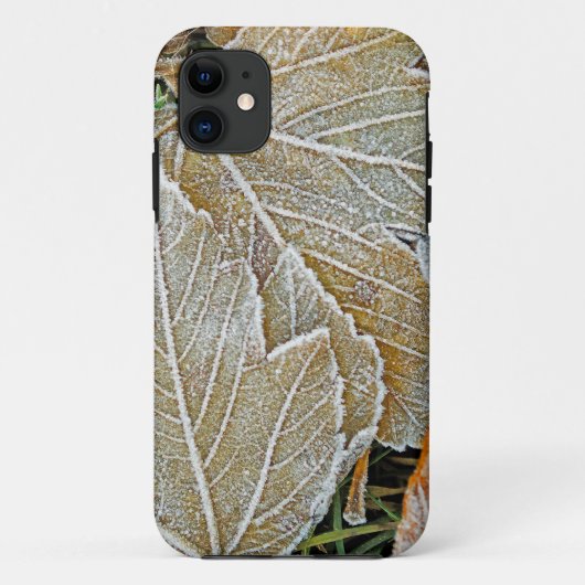 フローズン・メイプル iPhone 5 Casemateケース Case-Mate iPhoneケース (裏面)