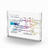 フローチャート米国アメリカ刑事司法制度 フォトブロック (右)