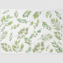 フローティンググリーン植物性ティッシュペーパー