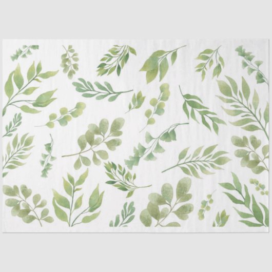 フローティンググリーン植物性ティッシュペーパー 薄葉紙 (正面)