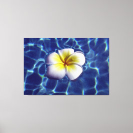 フローティングフランギ40x60 キャンバスプリント