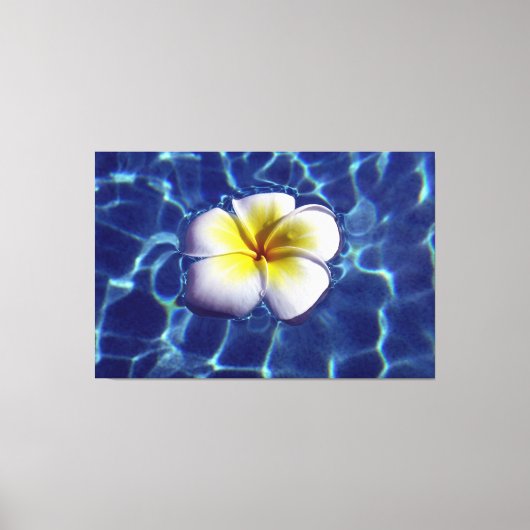 フローティングフランギ40x60 キャンバスプリント (正面)