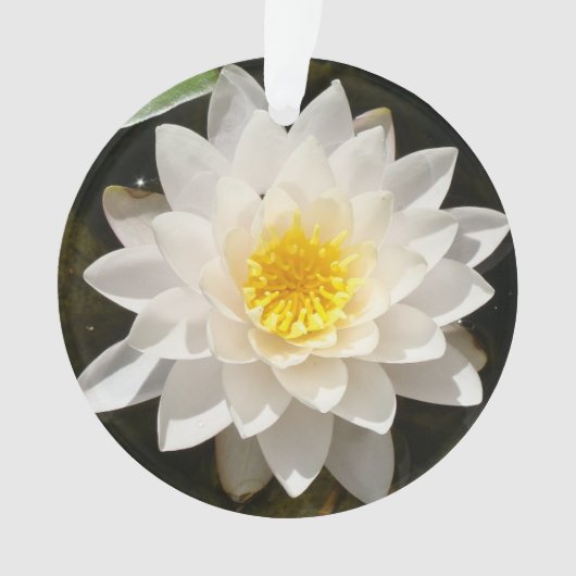 フローティングホワイトスイレン蓮の花 オーナメント (正面)