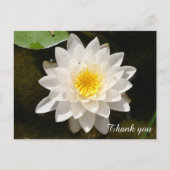 フローティングホワイト《植物》スイレンロータスサンキュー ポストカード (正面)