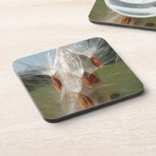 フローティングミルクウィード種子アートプリント/グラフィック コースター (左側)