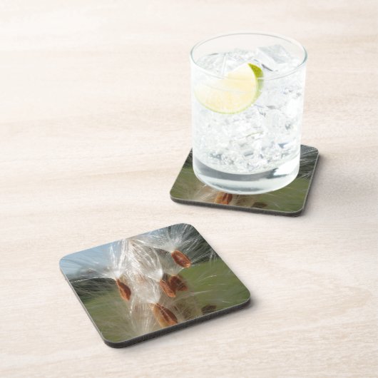 フローティングミルクウィード種子アートプリント/グラフィック コースター (右側)