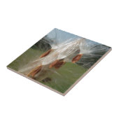 フローティングミルクウィード種子アートプリント/グラフィック タイル (側面)