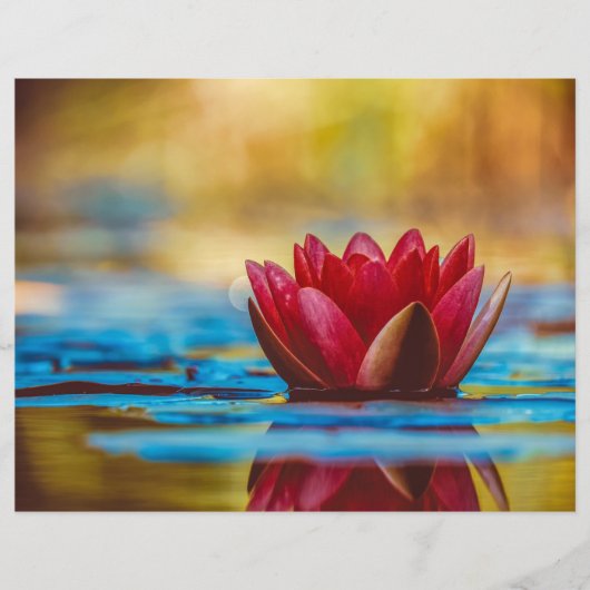 フローティングレッドロータススクラップブック紙 (正面)