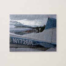 フロート飛行機8、レイクフード、アラスカ、米国