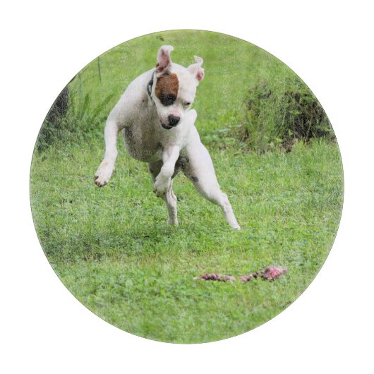 フロート カッティングボード (正面)