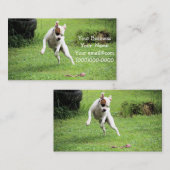 フロート 名刺 (正面/裏面)