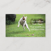 フロート 名刺 (正面)