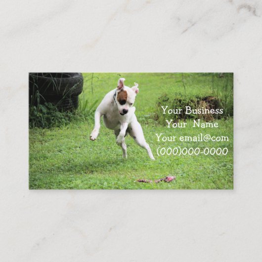 フロート 名刺 (正面)