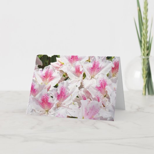 フローラあいさつ空白のカード内カスタマイズ文字 カード (正面)