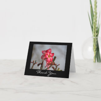 フローラありがとう サンキューカード