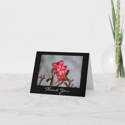 フローラありがとう サンキューカード (正面)